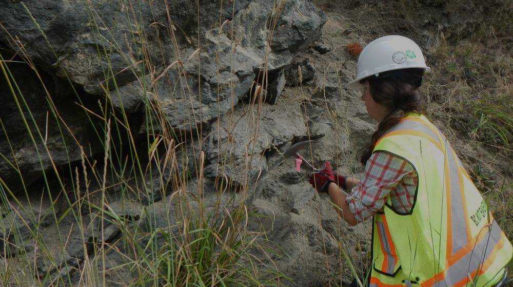 Emblem of dedication ensuring client satisfaction through quality.